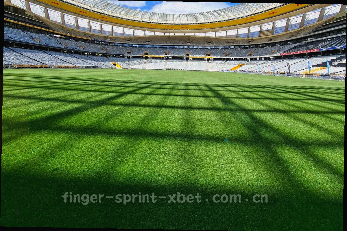 由网格与节点构成的抽象城市地图纹理，无地名标注